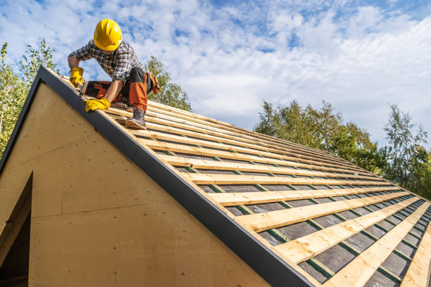 Best Roof Gutter Cleaning  in Princeville, HI