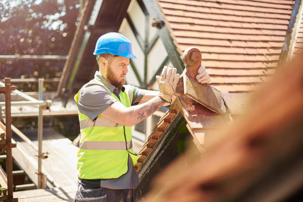 Roof Gutter Cleaning in Princeville, HI
